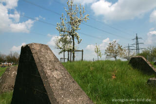 Steuobstwiese und Panzersperre, Herzogenrath