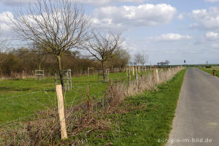 Streuobstwiese Finkenhag, Grenzroute 7, Aachen-Orsbach