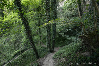 Trass, Brohltal, Vulkaneifel, Trasshöhlen, vulkanisch, Höhlen, Höhlen- und Schluchtensteig, Wanderwege, Brohl,