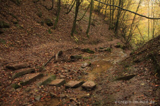 Trittsteine durch das Bachbett, Butzerbachtal, Südeifel