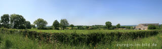 Typische Wiesenlandschaft bei Lontzen-Busch, Belgien