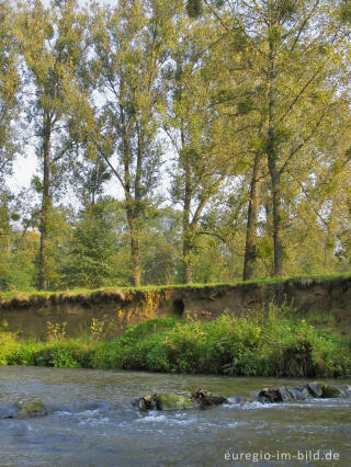 Uferböschung der Geul bei Epen mit Höhle