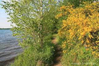 Uferweg am Blausteinsee