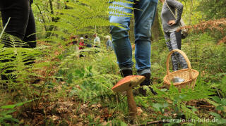 Unterwegs mit der Pilz AG bei Roetgen