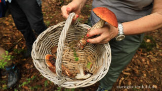 Unterwegs mit der Pilz AG bei Roetgen