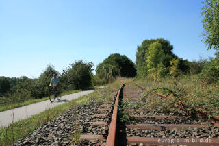 Vennbahntrasse bei Hahn