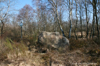 Vennwacken im Steinley - Venn