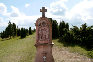 Wacholderheide - das Naturschutzgebiet Lampertstal bei Alendorf, Gemeinde Blankenheim