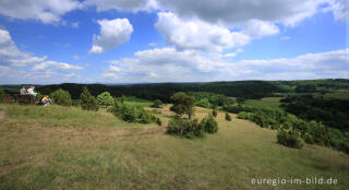 Wacholderheide - das Naturschutzgebiet Lampertstal bei Alendorf, Gemeinde Blankenheim