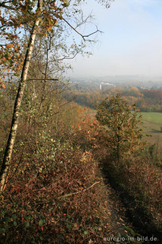 Wald auf der Halde Adolf, Herzogenrath Merkstein