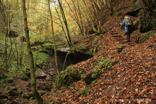 Wandern im Butzerbachtal, Südeifel