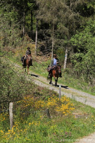 Wanderreiten im Irsental