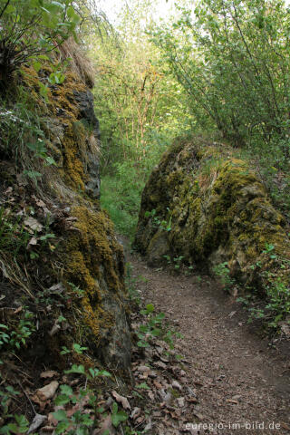 Wanderweg auf dem Auberg, Naturschutzgebiet Gerolsteiner Dolomiten