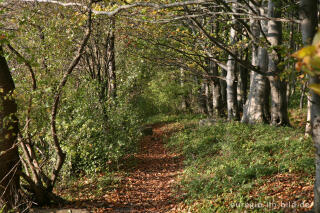 Wanderweg auf dem Schneeberg 