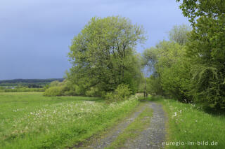 Wanderweg entlang dem Kranzbruchvenn bei Simmerath 