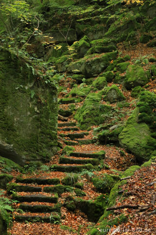 Wanderweg "Grüne Hölle", Südeifel