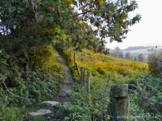 Wanderweg im Geultal zwischen Cottessen und Epen