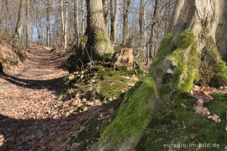 Wanderweg im Göhltal bei Hergenrath, Belgien