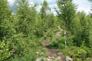 Wanderweg im Hohen Venn bei Xhoffraix