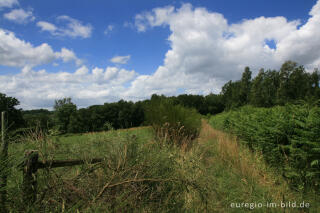 Wanderweg in den Ardennen bei Bellevaux