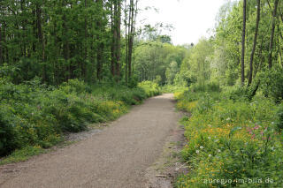 Wanderweg in der Ruraue zwischen Jülich-Barmen und Floßdorf