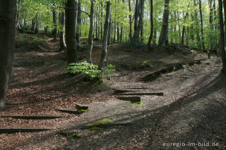 Wanderweg mit Treppe, Hambos bei Kerkrade, NL