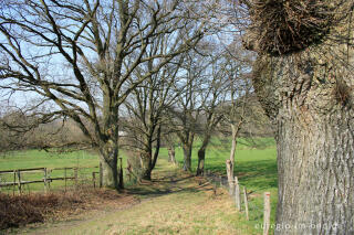 Wanderweg nördlich von Lontzen