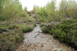 Wanderweg zum Bayehon Wasserfall