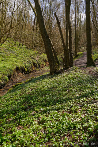 Wanderweg zwischen Elsloo und Geulle (Maastal), NL