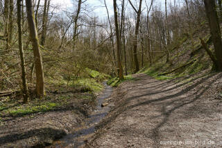 Wanderweg zwischen Elsloo und Geulle (Maastal), NL