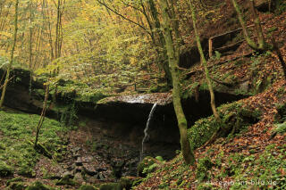 Wasserfall im Butzerbachtal, Südeifel