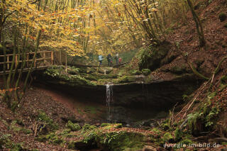 Wasserfall und Hängebrücke im Butzerbachtal, Südeifel