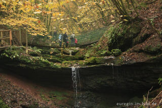 Wasserfall und Hängebrücke im Butzerbachtal, Südeifel