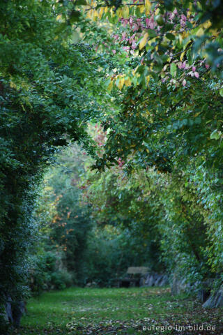 Weg im Hospizgarten, Hortus Dialogus