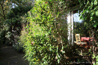 Weg und Wohnhaus im "Hortus Dialogus", Nideggen - Abenden