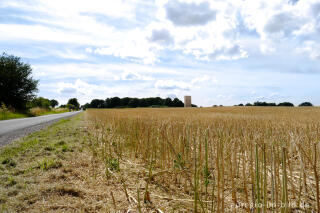 Weg zur Bruder-Klaus-Kapelle bei Wachendorf