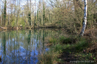 Weiher im Wurmtal nördlich von Herzogenrath