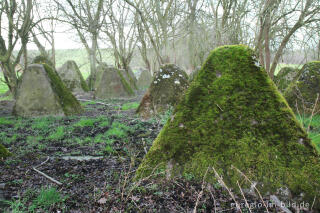 Westwall bei Herzogenrath-Bank mit Moos bewachsen