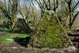 Westwall bei Herzogenrath-Bank mit Moos