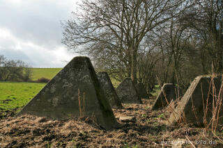 Westwall zwischen Herzogenrath-Bank und Pannesheide