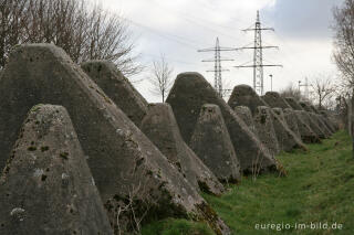 Westwall zwischen Herzogenrath-Bank und Pannesheide