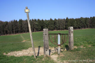 Wiesenweg mit Drehkreuz beim Gippenhaagerbusch, B.