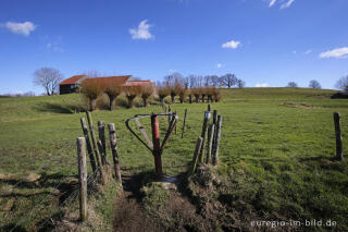 Wiesenweg mit Stiegel bei Terziet in Südlimburg