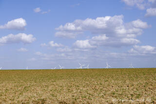 Windräder zwischen Orsbach und Vetschau