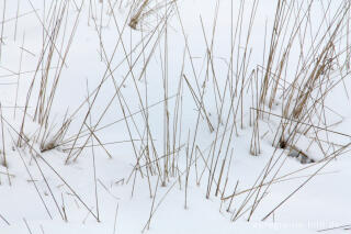 Winter im Kranzbruch bei Simmerath in der Eifel