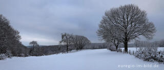 Winterlandschaft westlich von Schmidt