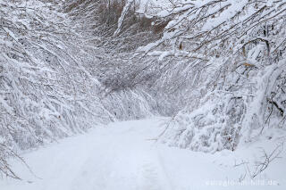 Winterspaziergang bei der Eupener Talsperre