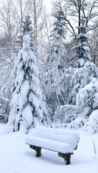 Winterspaziergang bei der Eupener Talsperre