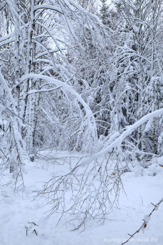 Winterspaziergang bei der Eupener Talsperre