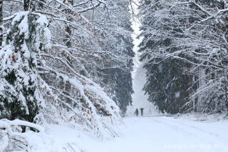 Winterspaziergang bei der Eupener Talsperre